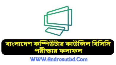 বাংলাদেশ কম্পিউটার কাউন্সিল বিসিসি পরীক্ষার ফলাফল ২০২৫